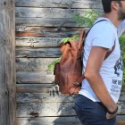 Leather big Backpack